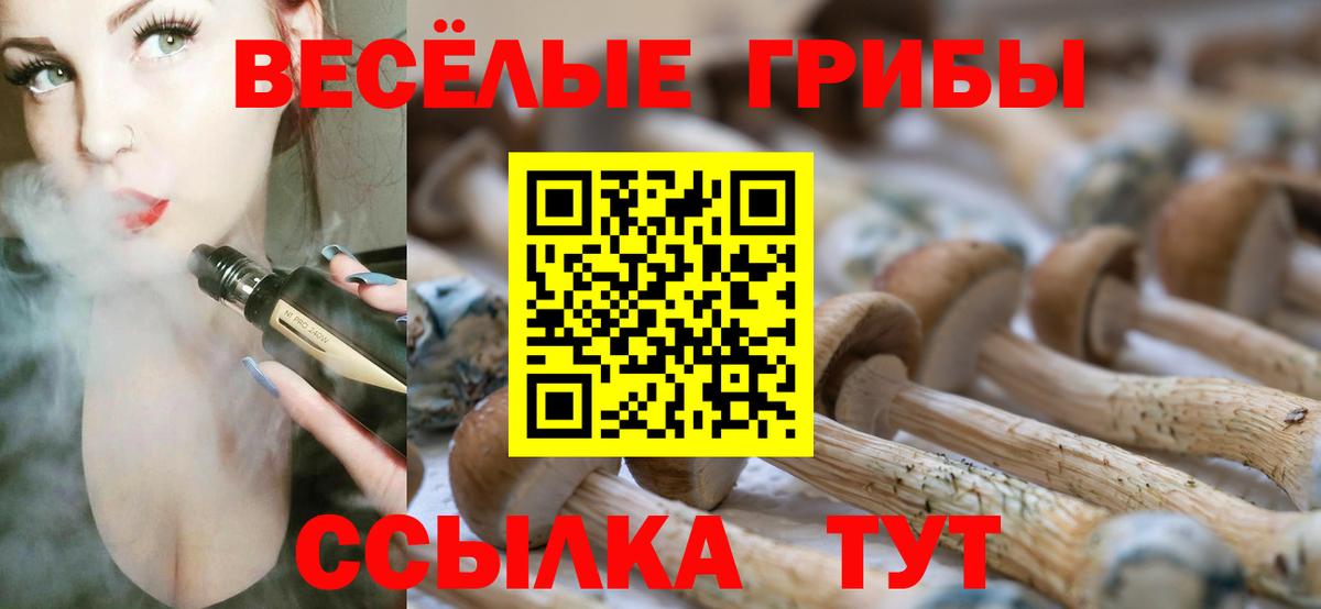 цены наркотик  Галлюциногенные грибы Psilocybine cubensis  Вход с VPN  Анжеро-Судженск  Галлюциногенные грибы MAGIC MUSHROOMS 